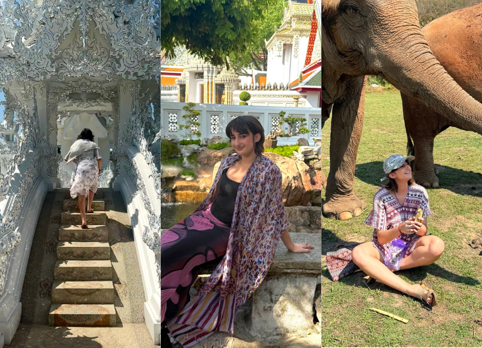 Photo montage of student walking up steps, seated and looking at elephants